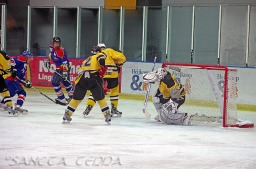 2011_11_27_GEC-Celle_21