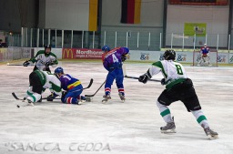 2012_02_10_GEC-Salzgitter_56