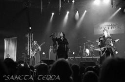 2010_10_23_Pythia_15