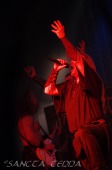 2011_03_12_Heidevolk_08
