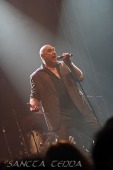 2011_08_04_Stier_03