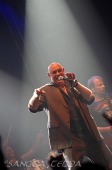 2011_08_04_Stier_04