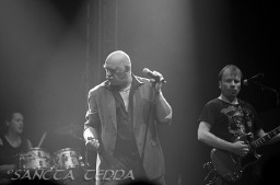 2011_08_04_Stier_05