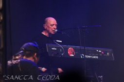 2011_08_04_Stier_09