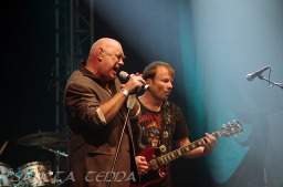 2011_08_04_Stier_11