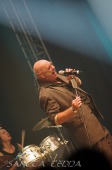 2011_08_04_Stier_12