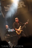 2011_08_04_Stier_16