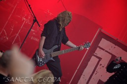 2011_08_06_Haematom_11