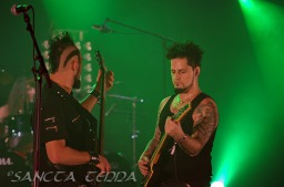 2011_10_23_Velvetseal_05