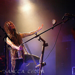 Amorphis Article