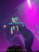 2012_02_07_Guano_Apes_01