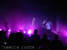 2012_02_07_Guano_Apes_03