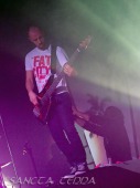 2012_02_07_Guano_Apes_04