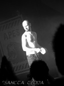 2012_02_07_Guano_Apes_16