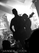 2012_02_07_Guano_Apes_20