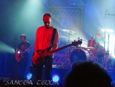 2012_02_07_Guano_Apes_24