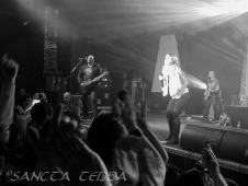 2012_02_07_Guano_Apes_27
