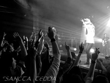 2012_02_07_Guano_Apes_31