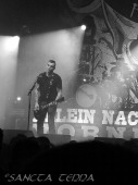 2012_03_31_FreiWild_34