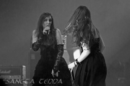 2012_10_20_Dimlight_15