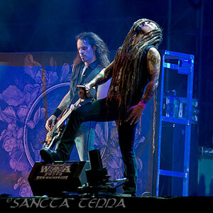 Amorphis Article