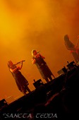 2013_08_03_Subway_To_Sally_24