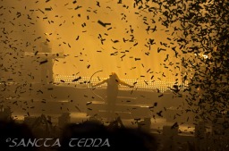 2014_04_30_Epica_53