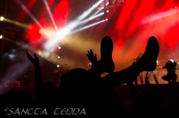 2014_07_31_Accept_008