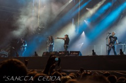 2014_07_31_Accept_013
