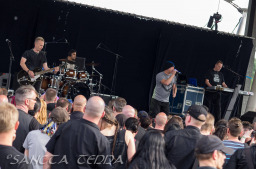 2015_06_13_Mesh_005