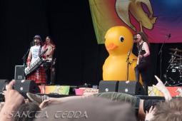 2018_06_02_Alestorm_015