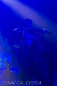 2018_11_03_Firkin_001