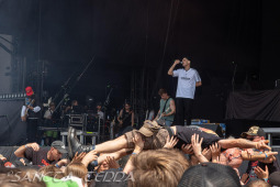 2025_06_19_Landmvrks_010