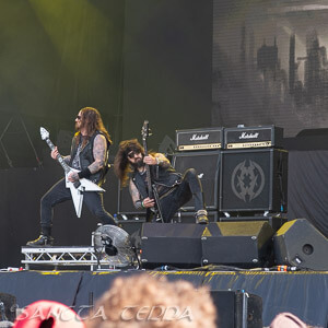 Municipal Waste Article