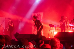 2025_06_20_Green_Lung_018