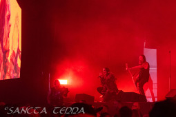 2025_06_21_Primordial_003