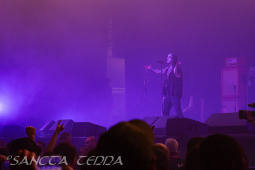 2025_06_21_Primordial_007