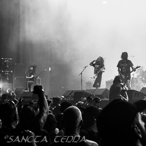 Angelus Apatrida Article