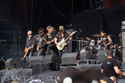 2025_06_22_Krokus_014