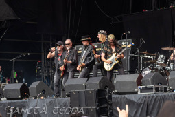 2025_06_22_Krokus_015