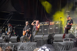 2025_06_22_Krokus_019