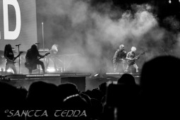 2025_06_22_Lindemann_026