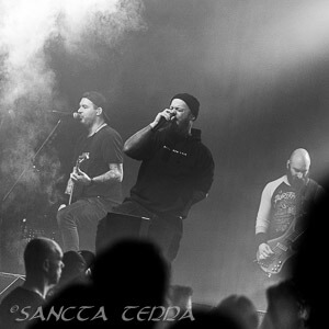 A Place To Fall Artikel