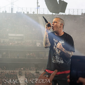 Pantera Artikel