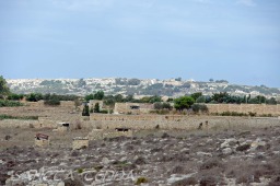 2009_09_02_Malta_59