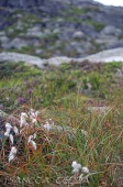 2012_08_13_Norwegen_44