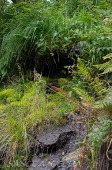 2012_08_13_Norwegen_88