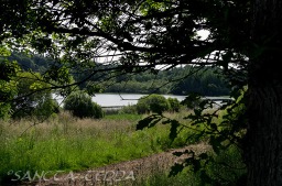 2013_07_11_Schottland_002