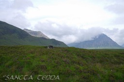 2013_07_11_Schottland_047