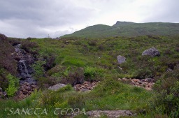 2013_07_11_Schottland_049